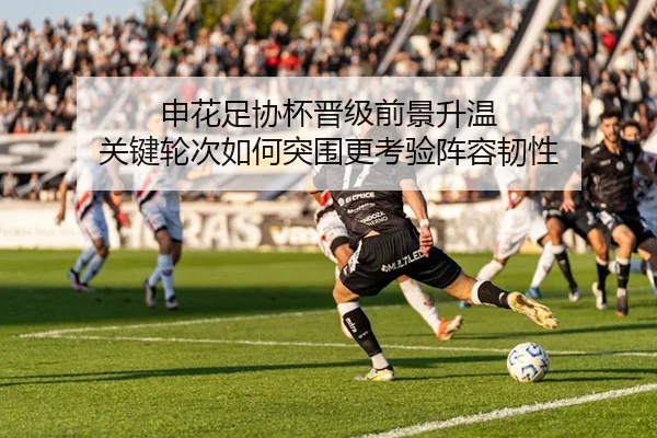 申花足协杯晋级前景升温 关键轮次如何突围更考验阵容韧性